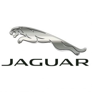 jaguar-300x300